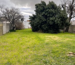 Vendo casa con lote de 12.50 x 50.Apta para gran proyecto !!! Calle Rodríguez Peña al 700